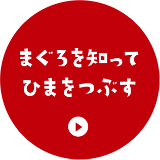 まぐろを知ってひまをつぶす