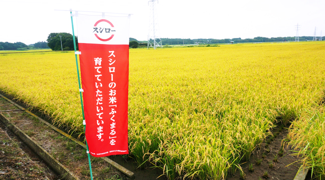 “スシロー米”で生産者にも貢献