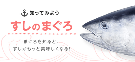 知ってみよう すしのまぐろ まぐろを知ると、すしがもっと美味しくなる！