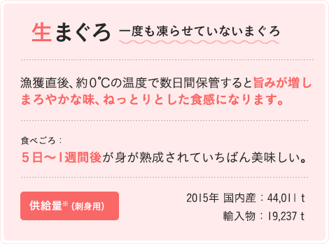 生まぐろ　一度も凍らせていないまぐろ　漁獲直後、約０℃の温度で数日間保管すると旨みが増しまろやかな味、ねっとりとした食感になります。　食べごろ：５日～１週間後が身が熟成されていちばん美味しい。　供給量※（刺身用）　2015年 国内産：44,011t 輸入物：19,237t