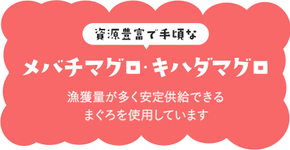 資源豊富で手頃なメバチマグロ・キハダマグロ　漁獲量が多く安定供給できるまぐろを使用しています