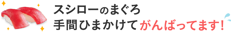 スシローのまぐろ手間ひまかけてがんばってます!