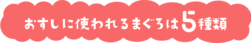 おすしに使われるまぐろは５種類