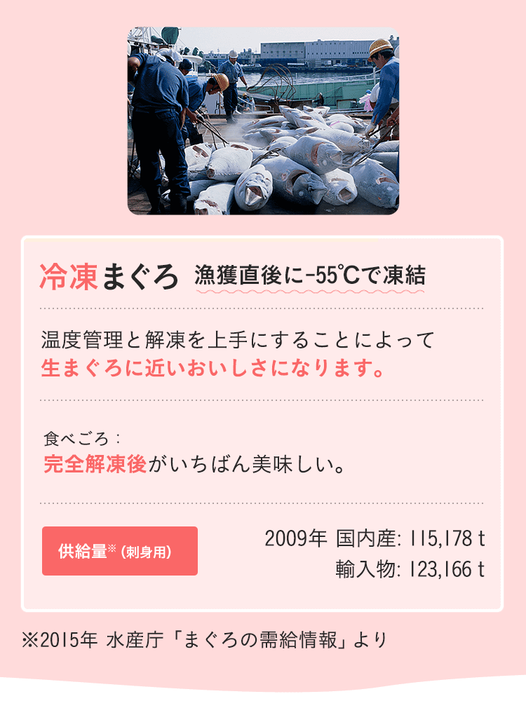 冷凍まぐろ　漁獲直後に-55度で凍結　温度管理と解凍を上手にすれば生まぐろに近いおいしさになります。食べごろ：完全解凍後がいちばん美味しい。供給量※（刺身用）　2009年 国内産: 115,178t　輸入物: 123,166t　※2015年 水産庁「まぐろの需給情報」より