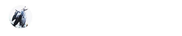 生と冷凍なにが違うの？