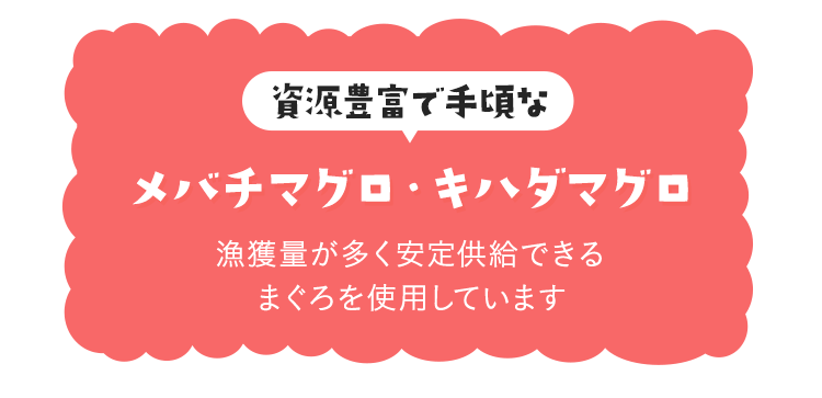 資源豊富で手頃なメバチマグロ・キハダマグロ　漁獲量が多く安定供給できるまぐろを使用しています