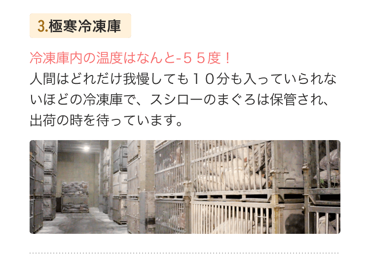 3.極寒冷凍庫　冷凍庫内の温度はなんと-５５度！人間はどれだけ我慢しても１０分も入っていられないほどの冷凍庫で、スシローのまぐろは保管され、出荷の時を待っています。