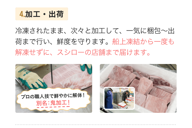 4.加工・出荷　冷凍されたまま、次々と加工して、一気に梱包～出荷まで行い、鮮度を守ります。船上凍結から一度も解凍せずに、スシローの店舗まで届けます。
