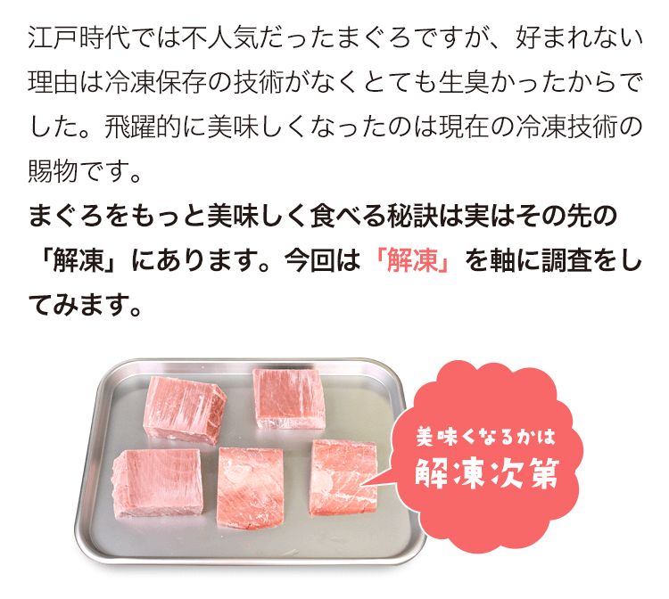 江戸時代では不人気だったまぐろですが、好まれない理由は冷凍保存の技術がなくとても生臭かったからでした。飛躍的に美味しくなったのは現在の冷凍技術の賜物です。まぐろをもっと美味しく食べる秘訣は実はその先の「解凍」にあります。今回は「解凍」を軸に調査をしてみます。　美味くなるかは解凍次第