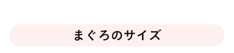 まぐろのサイズ