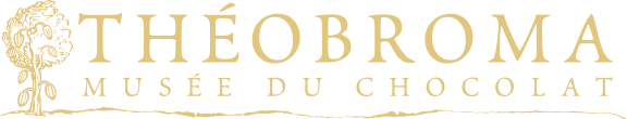 THEOBROMA MUSEE FDU CHOCOLAT